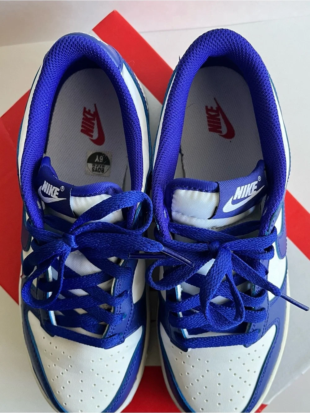 Royal Blue Nike Dunks Sneakers 6y